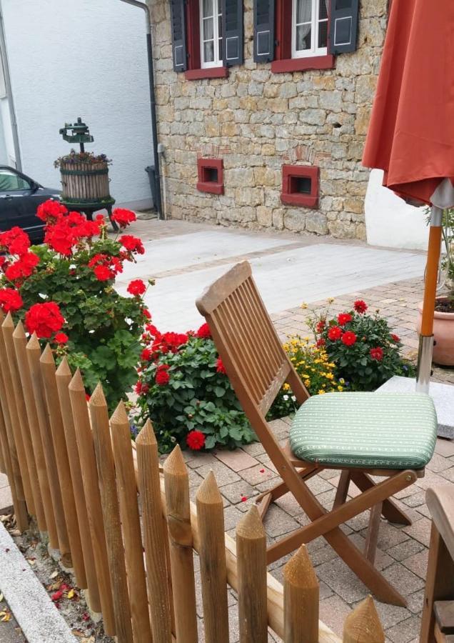 Ferienwohnung Traumschiff Erzingen エクステリア 写真